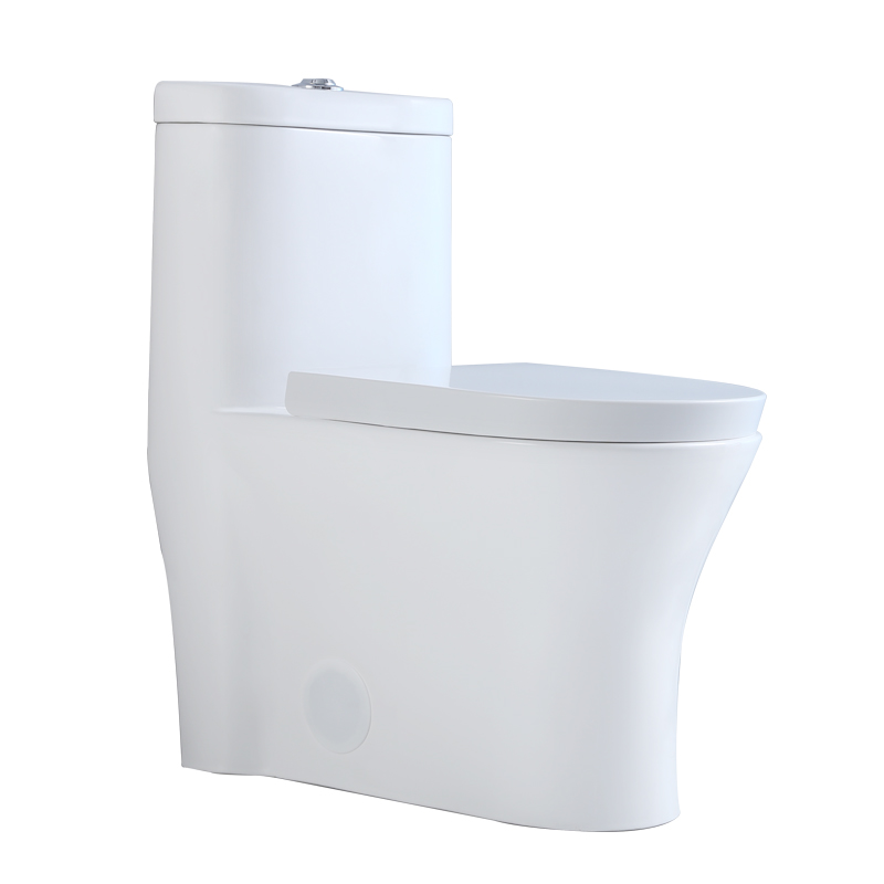 A2019 One Piece Toilet with CUPC Certified Bathroom Toilet