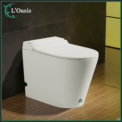 Pulse Electromagnetic Floor Toilet Without Water Tank