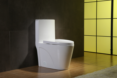 Siphonic One-Piece Ceramic Bathroom White Toilet