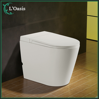 Sanitaryware Toilet Set Bathroom Pulse Tankless Toilet on Floor